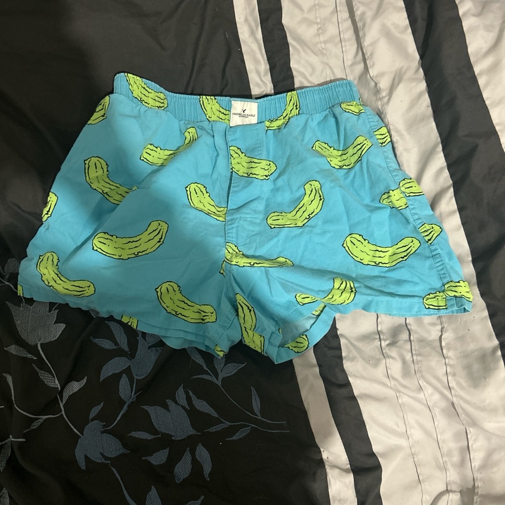 American Eagle Outfitters Blue and Green Boxer Briefs
